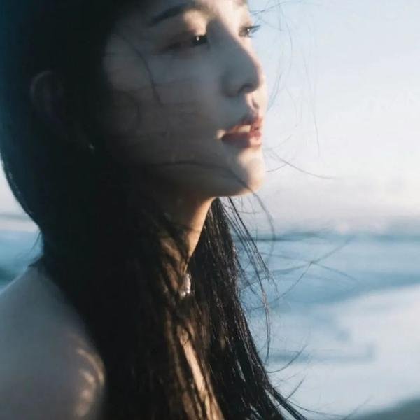 履历